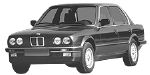 BMW E30 P248D Fault Code