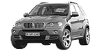 BMW E70 P248D Fault Code